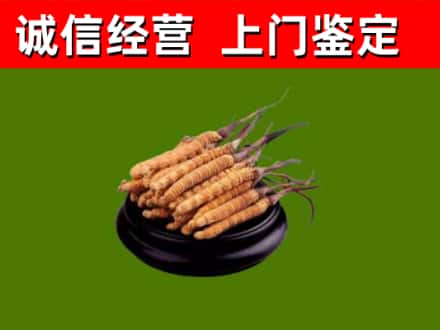 天府新区成都片区华阳烟酒回收冬虫夏草.jpg