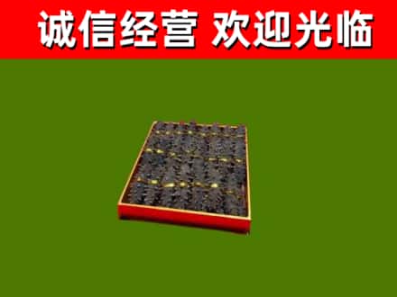 天府新区成都片区华阳烟酒回收海参.jpg